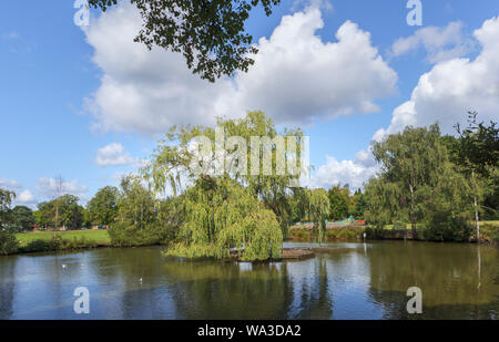 Étang de canard avec un saule pleureur sur une île dans le village green à Pirbright, un village près de Woking à Guildford borough, Surrey, Angleterre du Sud-Est Banque D'Images