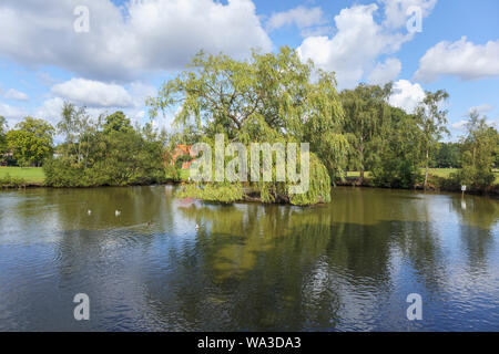 Étang de canard avec un saule pleureur sur une île dans le village green à Pirbright, un village près de Woking à Guildford borough, Surrey, Angleterre du Sud-Est Banque D'Images
