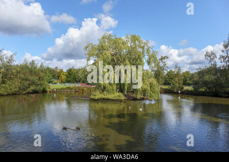 Étang de canard avec un saule pleureur sur une île dans le village green à Pirbright, un village près de Woking à Guildford borough, Surrey, Angleterre du Sud-Est Banque D'Images