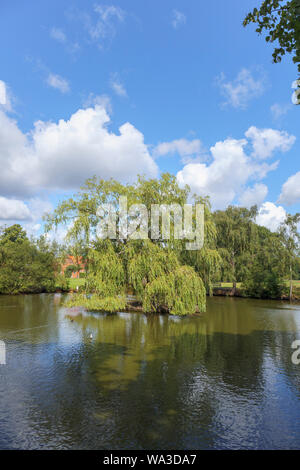 Étang de canard avec un saule pleureur sur une île dans le village green à Pirbright, un village près de Woking à Guildford borough, Surrey, Angleterre du Sud-Est Banque D'Images