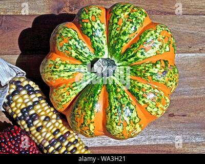 Mélange de citrouilles coloré sur un tas Banque D'Images