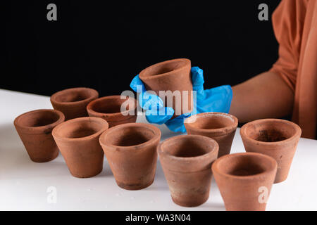 La femme à l'aide de gants maintenant le pot en terre cuite et pots vides sur le bureau. Préparation pour semer des graines de plantes dans le laboratoire Banque D'Images