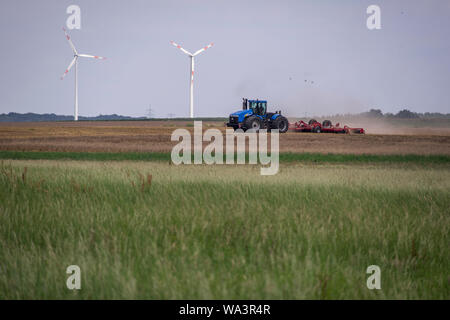 Une moissonneuse-batteuse récoltes de blé dans la campagne de Brandebourg, Allemagne 2019. Banque D'Images