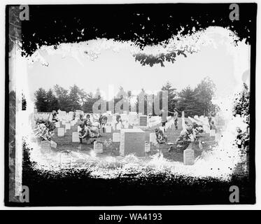 Boy Scouts à Arlington, 5/29/21 Banque D'Images