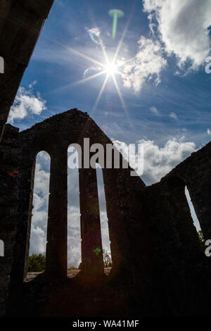 Ruines de l'abbaye de cong également connu sous le nom de l'Abbaye Royale de Cong, dans le comté de Mayo Irlande Banque D'Images