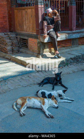 Les Népalais l'homme est assis sur un trottoir et regarder le paysage avec une sieste chiens au premier plan Banque D'Images
