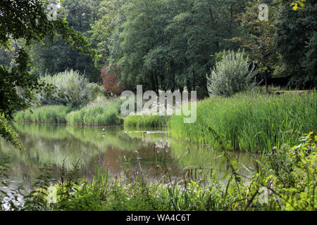 Les Etangs de Corot. Ville d'Avray. Banque D'Images