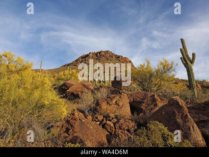 À au sud de Gates Pass au crépuscule, situé à l'ouest de Tucson, Arizona. Banque D'Images