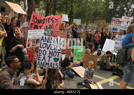 Londres, Royaume-Uni - 17 août 2019 : manifestants vu lors d'une s'asseoir dans le long d'une route autour de Traflagar Square. Des milliers de manifestants pour les droits des animaux s'ot la rue de Londres dans un mars de Park Lane à Whitehall, conduisant à la fermeture des routes autour de Traflagar Square le 17 août 2017. Mars fondée par l'organisation de défense des droits des animaux au Royaume-Uni a commencé les surtensions à Londres en 2016 avec 2 500 participants en 2018 et avait rassemblé une présence mondiale de 28 000 végétaliens marchant dans 25 villes à travers le monde, exigeant la fin de toute oppression des animaux. Crédit : David Mbiyu/Alamy Live News Banque D'Images