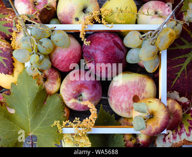 Pommes, Poires et raisins blancs sur un fond de bois avec cadre blanc. Vue d'en haut Banque D'Images