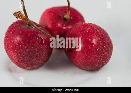 Un gros plan de délicieuses cerises Banque D'Images
