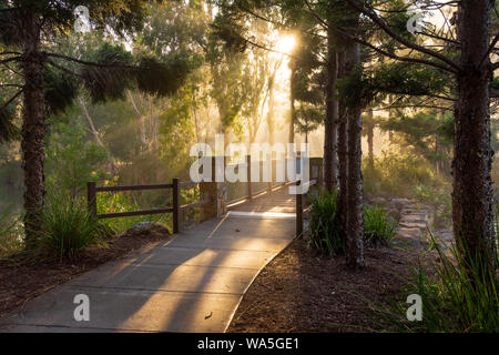 La lumière du soleil du matin à travers les arbres, sur un sentier et le pont dans une forêt Banque D'Images