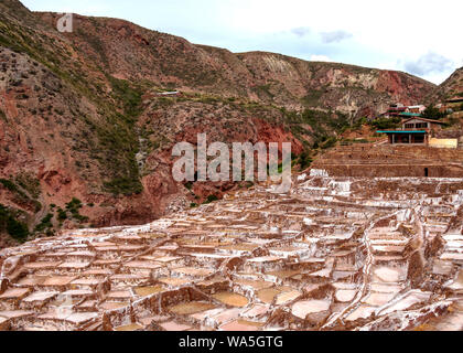 Anciennes mines de sel, Salineras de Maras : des milliers de petits bassins creusés dans le flanc d'une montagne avec des sommets enneigés de montagnes Urubamba sur la zone Banque D'Images