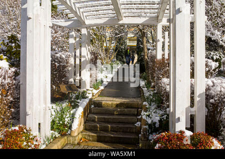 Katoomba, Blue Mountains, Australie, 10 août 2019 : Les jardins enneigés à l'historique Hôtel Carrington à Katoomba après un hiver neige Banque D'Images