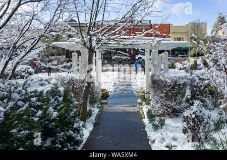 Katoomba, Blue Mountains, Australie, 10 août 2019 : les touristes appréciant les jardins enneigés à l'historique Hôtel Carrington à Katoomba après un hiver snowf Banque D'Images