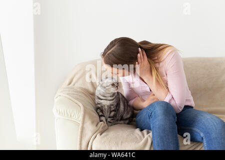 Femme au foyer s'embrasser sa belle fluffy cat. Mignon gris tabby cat Scottish Fold. Animaux domestiques et le style de concept Banque D'Images