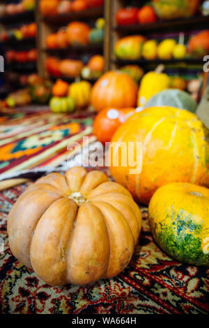 Citrouilles jaune sur l'automne. Banque D'Images