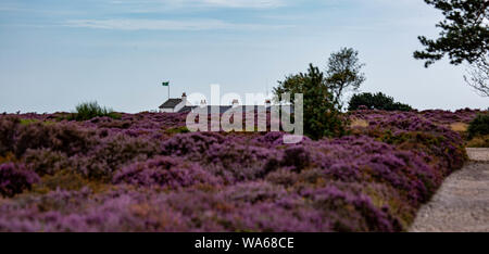 Garde côtière canadienne Dunwich Heath Cottages Banque D'Images