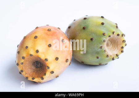 Opuntia Orange isolé sur fond blanc. Chemin de détourage. La profondeur de champ. Banque D'Images