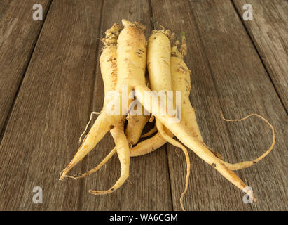 La racine de ginseng est placé sur le plancher en bois ; les soins de santé. Banque D'Images