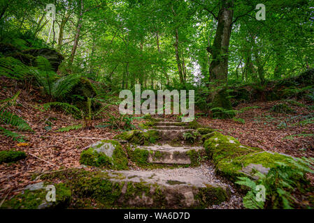 Gros plan sur un escalier en pierre rustique dans une forêt luxuriante Banque D'Images