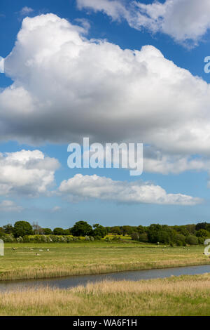 Le paysage traditionnel de Suffolk. Montrant les terres agricoles, le pâturage des moutons avec un ruisseau qui passe au milieu du paysage et de grands ciels Suffolk Banque D'Images