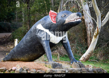 La grande Tassie Devil, Mole Creek Australie Tasmanie Banque D'Images