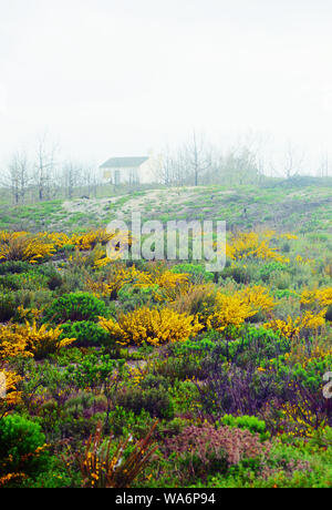 Maison Blanche en milieu rural au Portugal sur un matin brumeux Banque D'Images