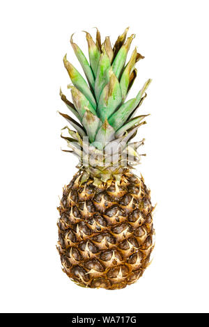 Ananas mûrs avec des feuilles sèches isolé sur fond blanc Banque D'Images