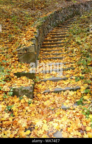 Escaliers en pierre recouvert de feuilles mortes Banque D'Images
