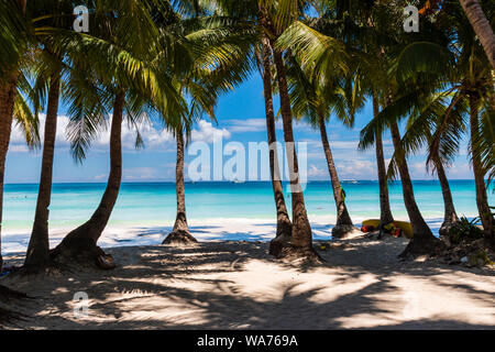 Palmiers poussent sur une belle plage de sable, plage tropicale à côté d'un océan peu profond (White Beach, Boracay) Banque D'Images