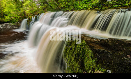 Une cascade pittoresque entouré d'une forêt dans le sud du Pays de Galles (Pannwr Sgwd y, Cascade, pays de Galles) Banque D'Images