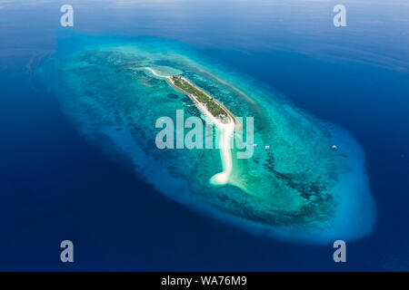 Drone aérien vue sur une belle île tropicale avec une plage de sable entourée de récifs de corail (Kalanggaman Island, Philippines) Banque D'Images
