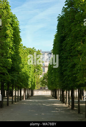 Sentier bordé d'arbres, dans des jardins paysagers du Jardin des Tuileries. Quartier des Tuileries, Paris, France Banque D'Images