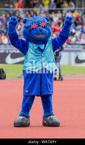 Birmingham, UK. 18 août 2019. Athlétisme Ligue de diamant ; Grand Prix Britbear Muller sur la piste pendant la compétition - éditorial uniquement. Credit : Action Plus Sport Images/Alamy Live News Banque D'Images