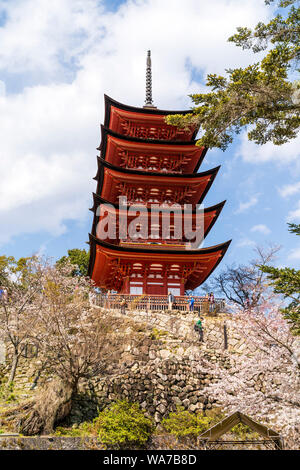 Le Japon, l'île de Miyajima. Le rouge de style japonais, la pagode de cinq étages, avec Gojunoto cerisiers au premier plan, et le ciel bleu derrière. Banque D'Images