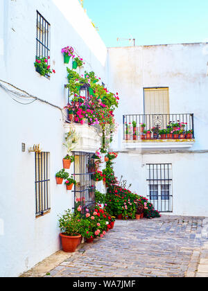 Une rue typique de murs blanchis à la chaux de Vejer de la Frontera centre-ville. La province de Cádiz, Andalousie, espagne. Banque D'Images