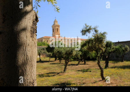 L'église de Pater Noster sur le Mont des Oliviers. Jérusalem. Israël. Banque D'Images