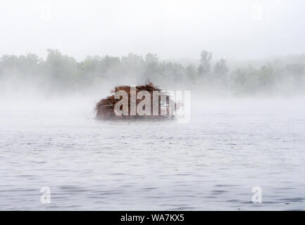 Misty une chasse aux canards dans le brouillard, sur un petit étang dans le Michigan USA Banque D'Images