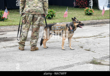 22 juin, 2018 ; un soldat se promène avec son chien militaire , à la fois l'homme et l'animal en uniforme au cours d'une manifestation à St Joseph MI USA Banque D'Images