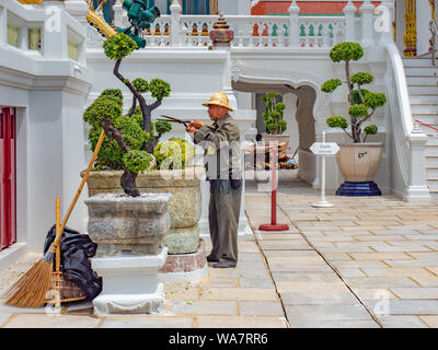 Jardin d'été. Jardinier arbres décoratifs asiatiques de fraisage. Thème industriel. Bonsai. Grand Royal Palace Banque D'Images