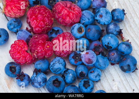 Bleuets et framboises sauvages contexte Banque D'Images