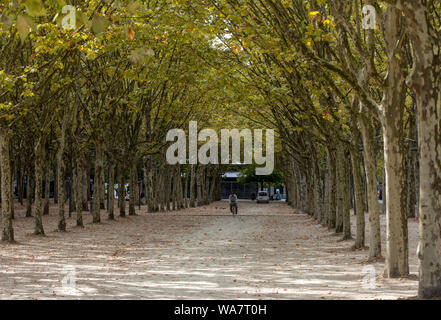 Bordeaux, France - le 9 septembre 2018 : jardin public le long de la Place des Quinconces, Bordeaux France, avec une voûte d'arbres verts. Banque D'Images