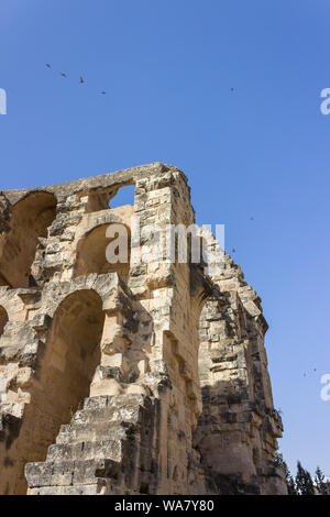 Low angle view of impressionnant ancien amphithéâtre romain El Jem en Tunisie et les oiseaux voler au-dessus de elle contre un ciel bleu clair Banque D'Images