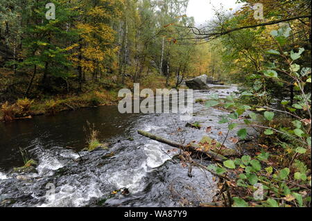 Paysage d'automne brumeux dans Oderteich Okertal,Harz.Herbst im Oderteich,Talsperre im Oberharz. Banque D'Images