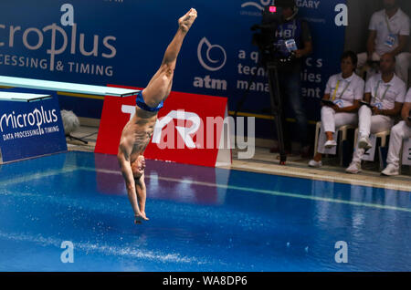 Kiev, UKRAINE - 7 août 2019 : Ilia MOLCHANOV de Russie effectue au cours de mens 1m Tremplin de la finale 2019 du championnat européen de plongée sous-marine à Kiev, Ukraine Banque D'Images