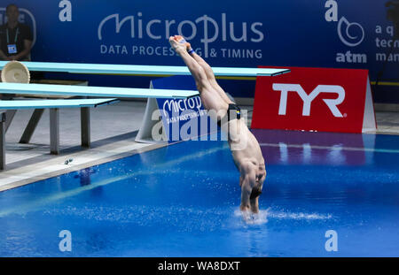 Kiev, UKRAINE - 7 août 2019 : Stanislav OLIFERCHYK de l'Ukraine lors du spectacle Mens 1m Tremplin de la finale 2019 du championnat européen de plongée sous-marine à Kiev, Ukraine Banque D'Images