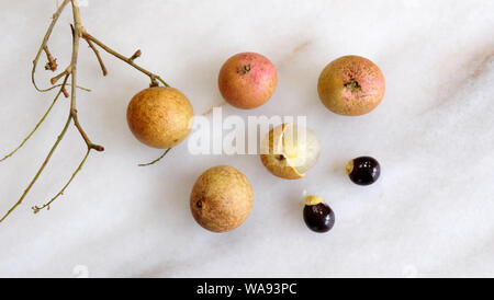 Mise à plat des longanes fruits, graines et branches sur une surface en marbre. Longane est un fruit tropical comestible qui est généralement trouvé dans la médecine traditionnelle. Banque D'Images