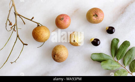 Mise à plat des longanes fruits, graines, feuilles et branches sur une surface en marbre. Longane est un fruit tropical comestible, également commune dans l'Est de la médecine. Banque D'Images