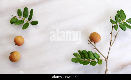 Mise à plat des longanes les fruits, les graines, les branches et les feuilles sur une surface en marbre. Longane est un fruit tropical comestible. Banque D'Images